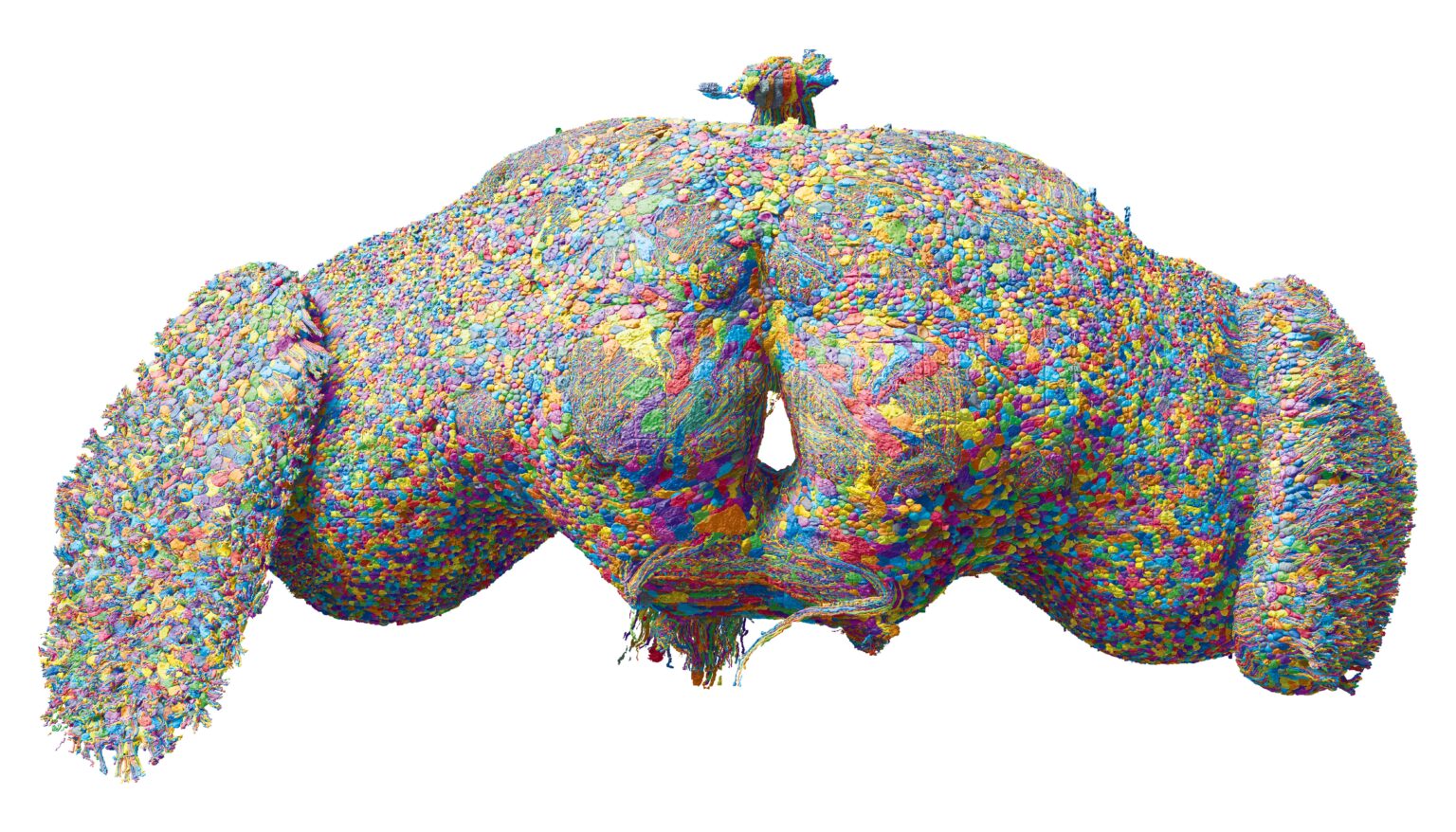 Full adult fruit fly brain connectome reconstructed from FlyWire neuron data